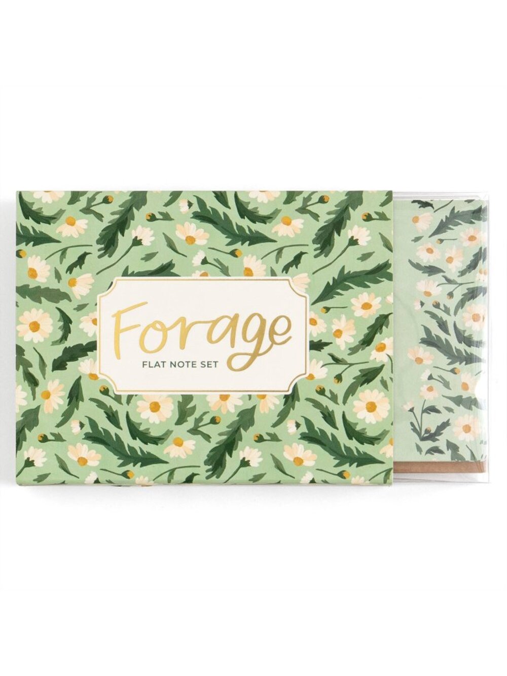 Forage Flat Note Card Set Envelopes Daisies Floral Design Elegant Stationery